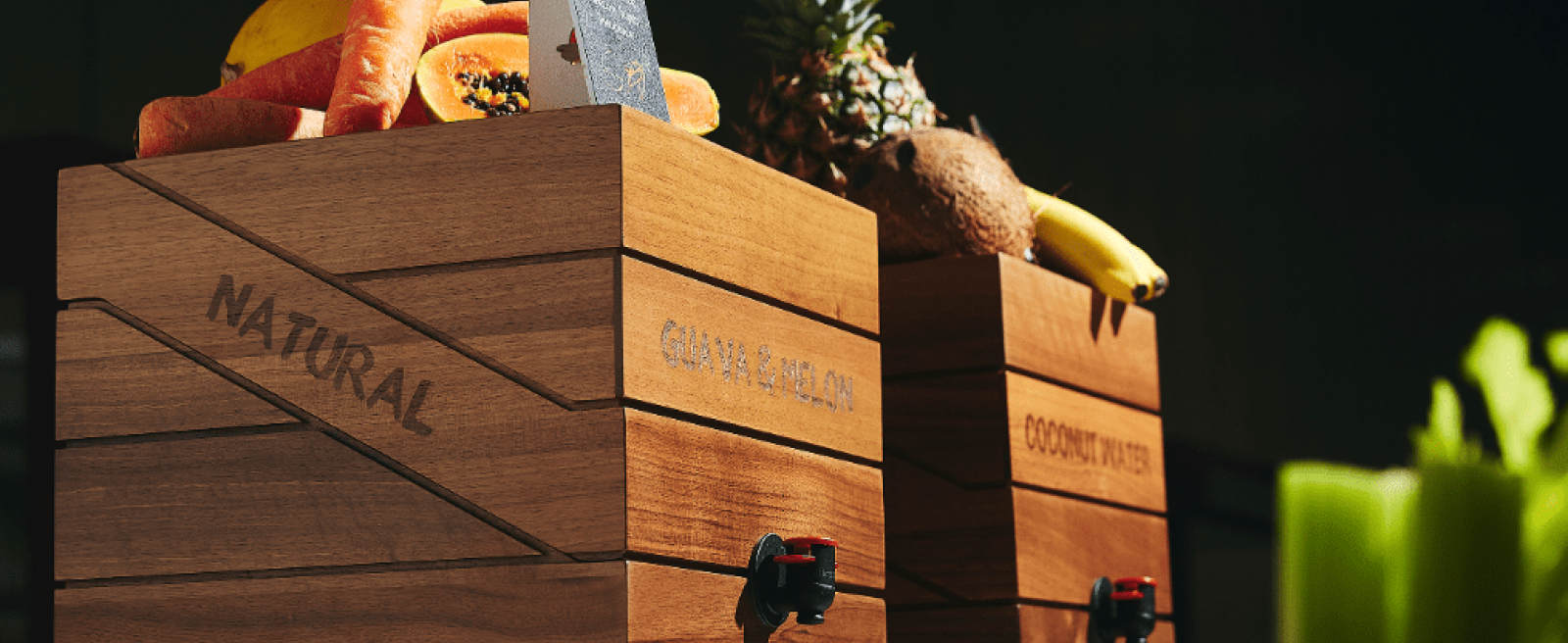 Walnut Juice Cube with Fresh Fruit Display from Oranka Juice Solutions